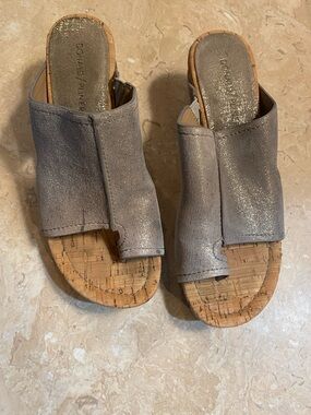 Donald J. Pliner Metallic Silver Slide Mules